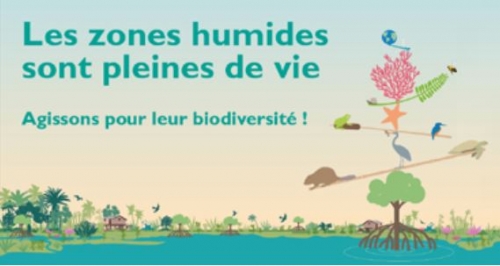 Journées mondiales des zones humides 