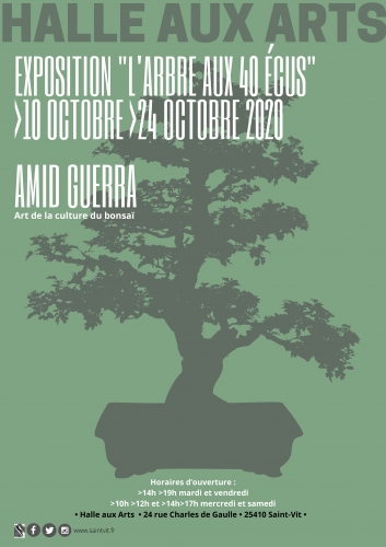 L'Arbre aux 40 écus - Amid Guerra