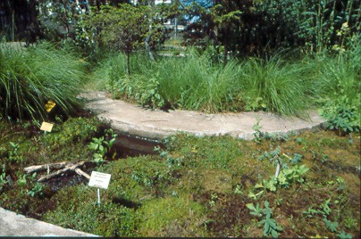 JARDIN BOTANIQUE